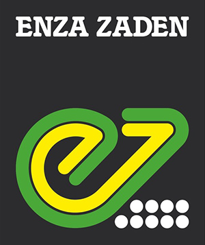 enza zaden