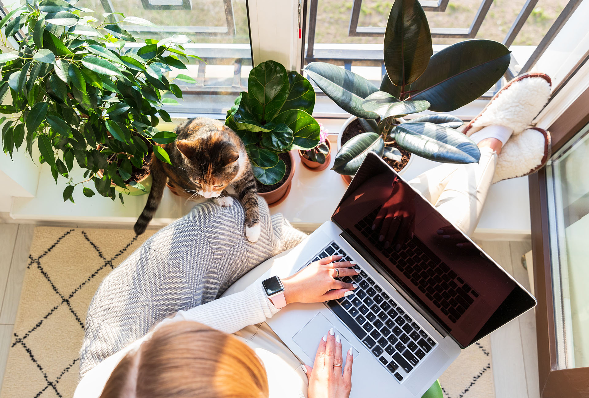 workplace innovation